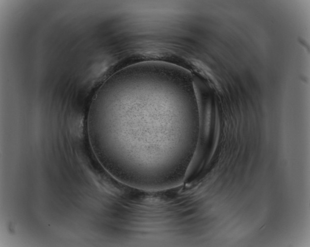 X0000092040596200709121155