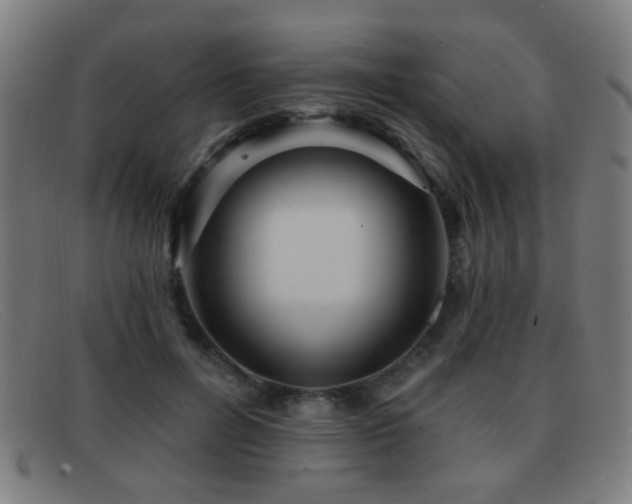 X0000092040600200709121155