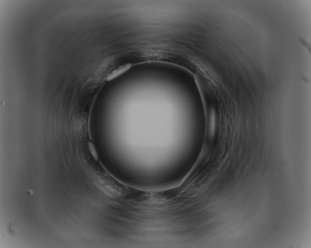 X0000092040601200709121155