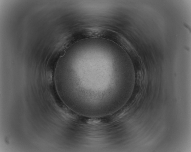 X0000092040602200709121155