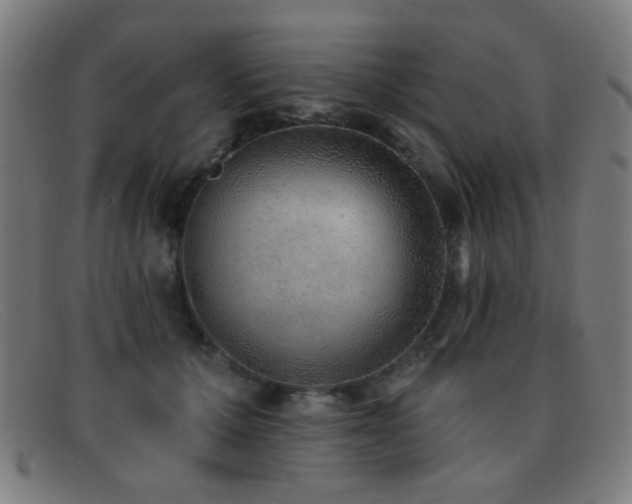 X0000092040607200709121155