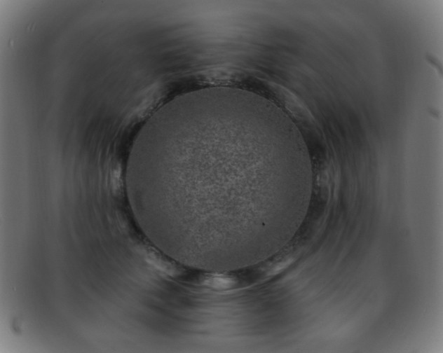 X0000092040610200709121155