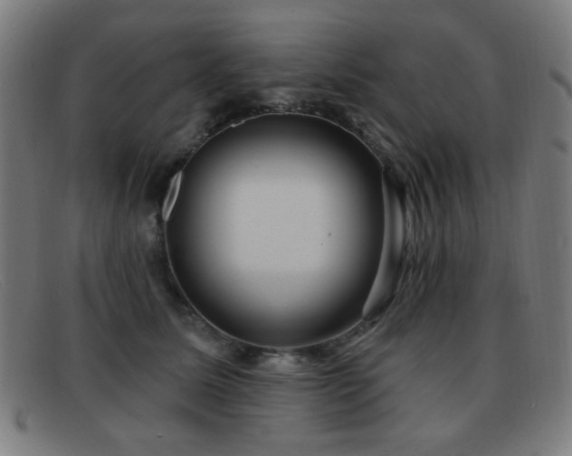 X0000092040611200709121155