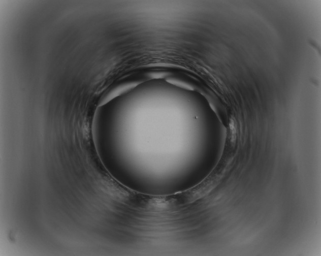 X0000092040613200709121154