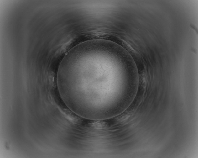 X0000092040615200709121154