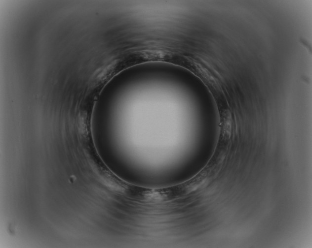 X0000092040616200709121154