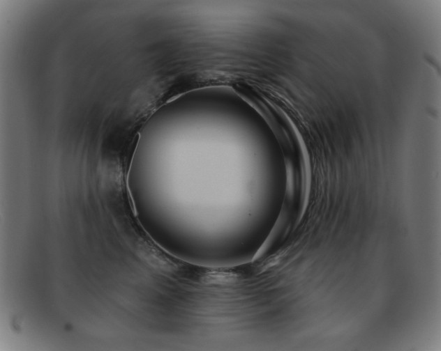 X0000092040617200709121154