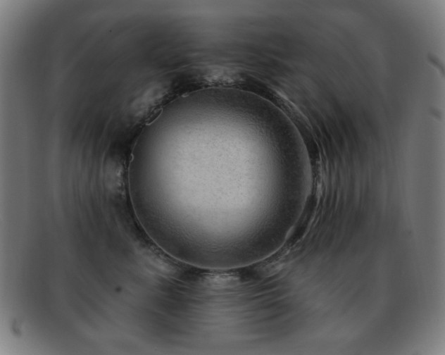 X0000092040619200709121154