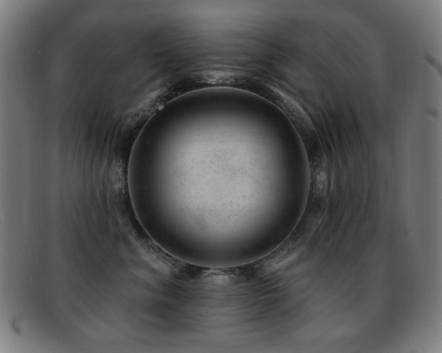 X0000092040620200709121154