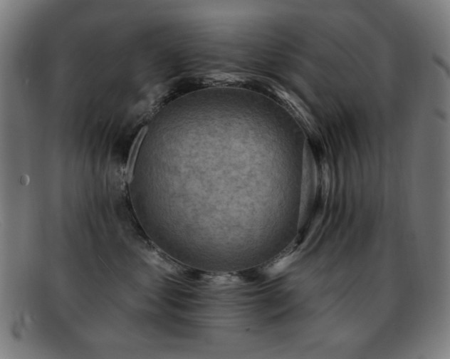 X0000092040621200709121154