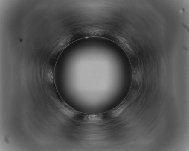 X0000092040622200709121154