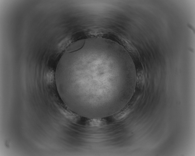 X0000092040623200709121154