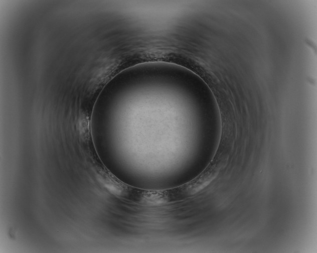 X0000092040624200709121154