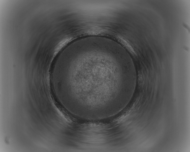 X0000092040626200709121154