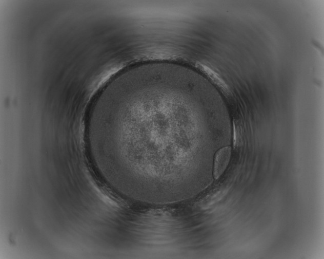 X0000092040627200709121154