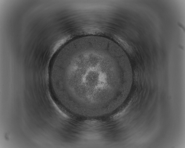 X0000092040630200709121154