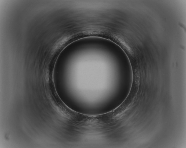 X0000092040631200709121154