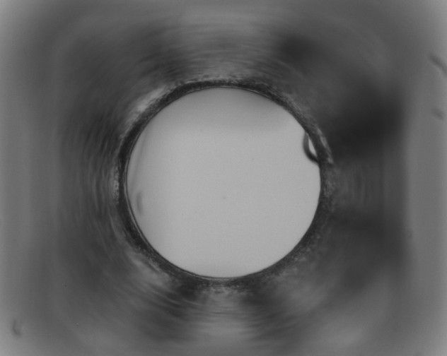 X0000092040632200709121154