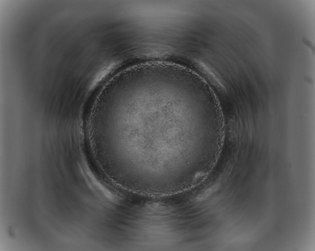 X0000092040634200709121154