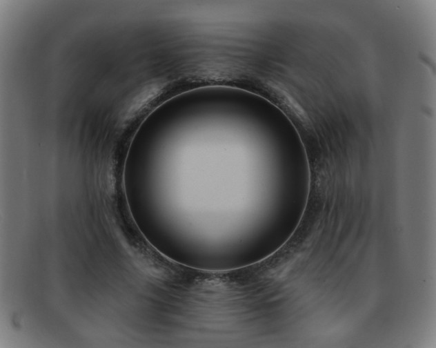 X0000092040635200709121154