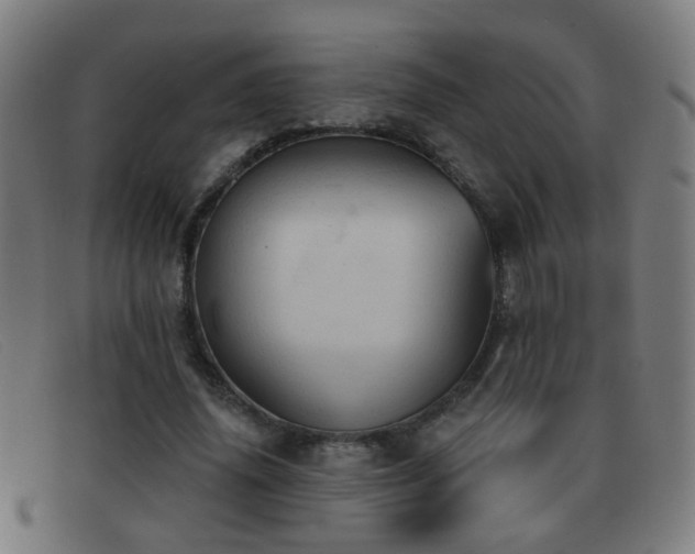 X0000092040636200709121154