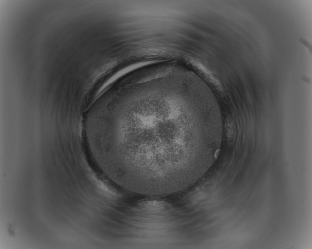 X0000092040637200709121154