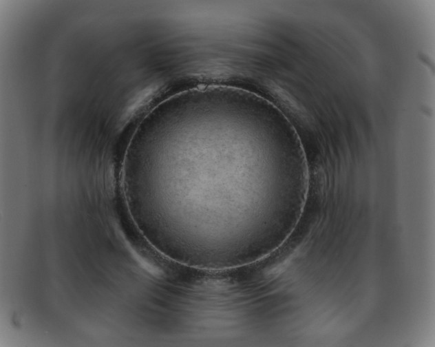 X0000092040638200709121154