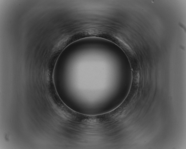 X0000092040639200709121154