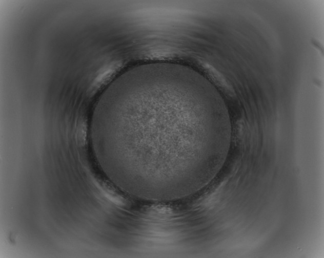 X0000092040640200709121154