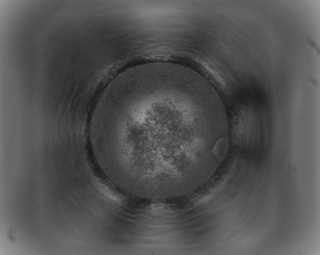 X0000092040641200709121154