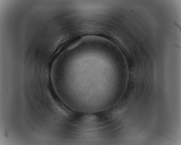 X0000092040642200709121154