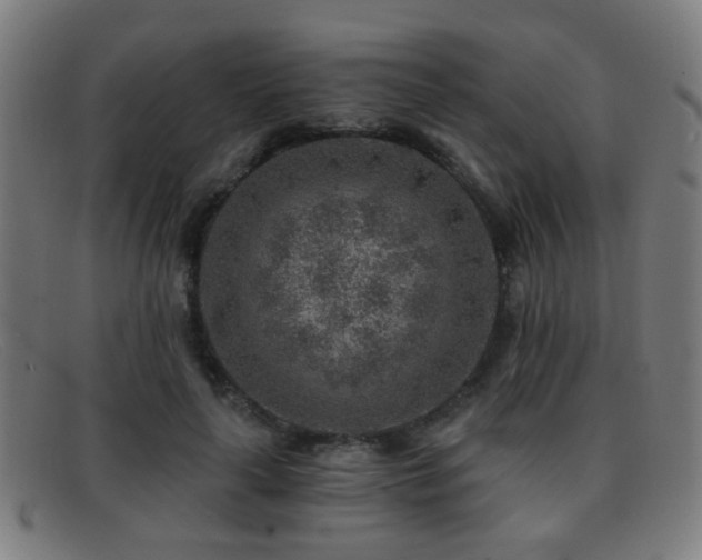 X0000092040643200709121154