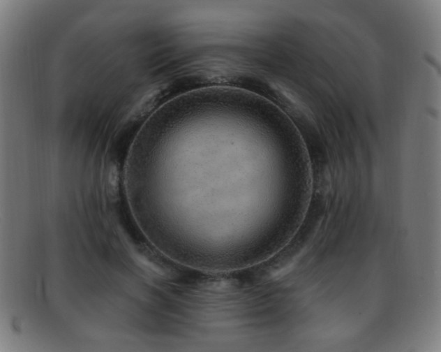 X0000092040646200709121154