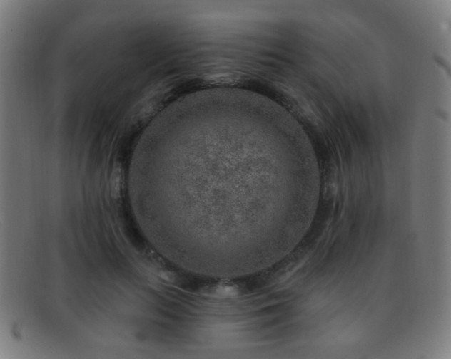 X0000092040647200709121154