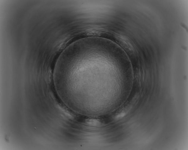 X0000092040649200709121154