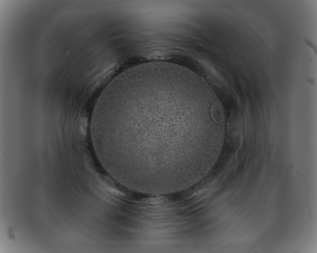 X0000092040652200709121154