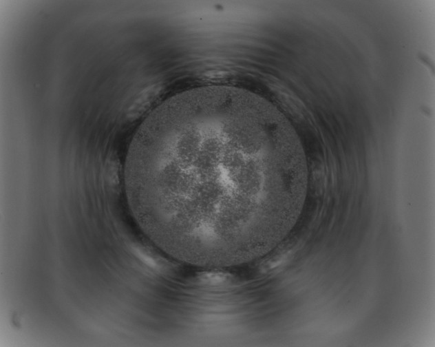 X0000092040654200709121154