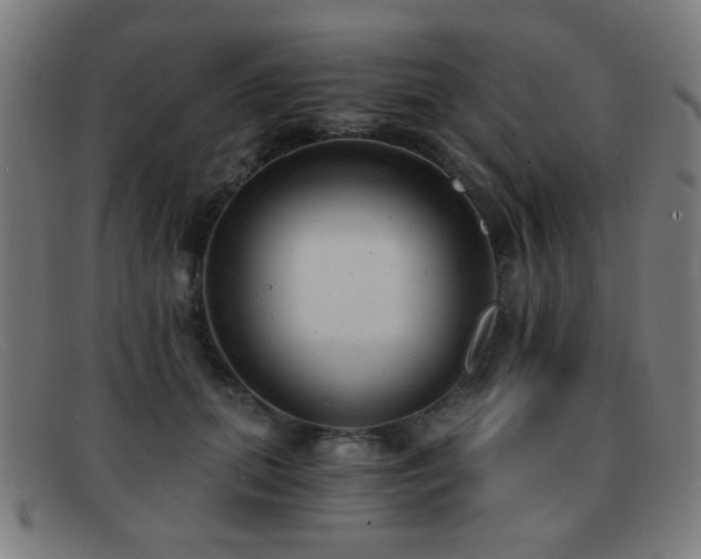 X0000092040655200709121154