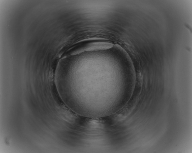 X0000092040657200709121154