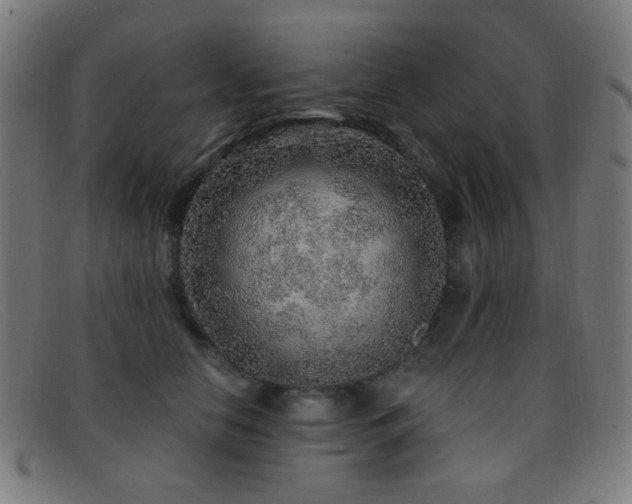 X0000092040658200709121154