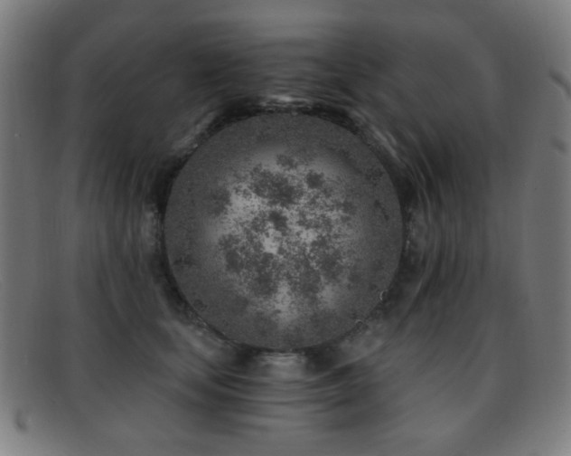 X0000092040659200709121154