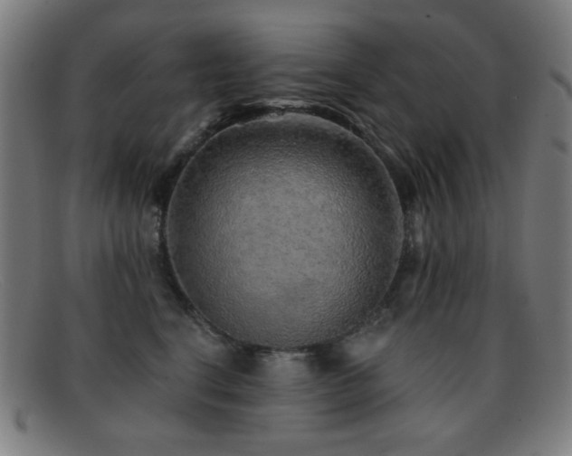 X0000092040664200709121154