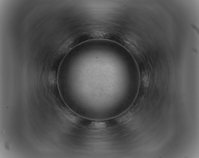 X0000092040665200709121154