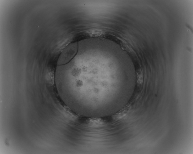 X0000092040666200709121154