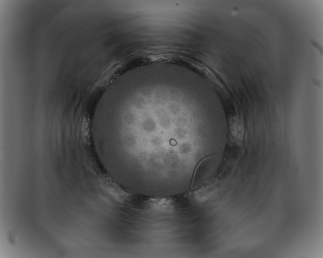 X0000092040667200709121154