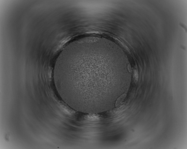 X0000092040668200709121154