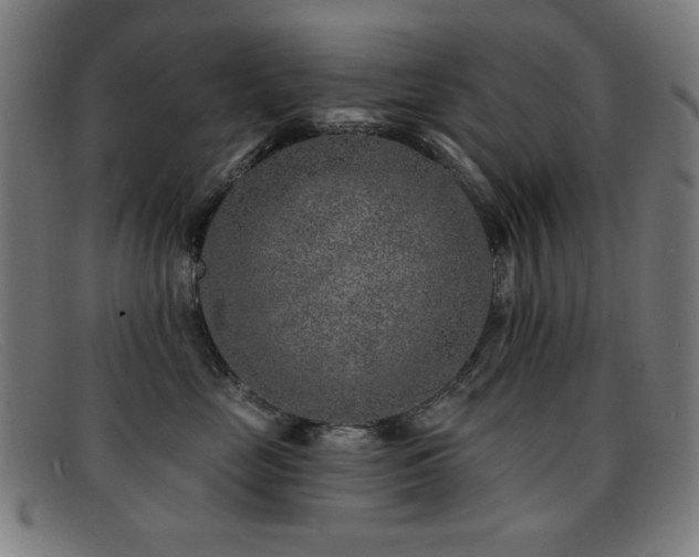 X0000092040669200709121154