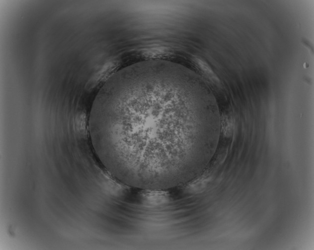 X0000092040670200709121154