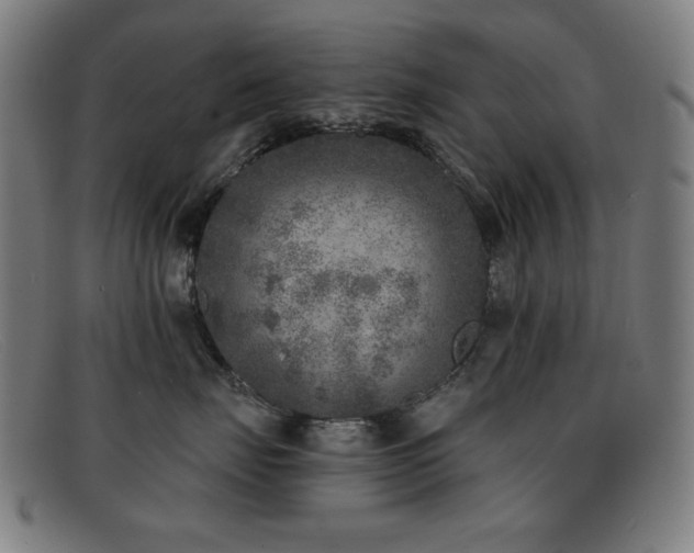 X0000092040671200709121154