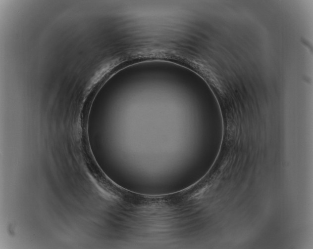 X0000092040674200709121154